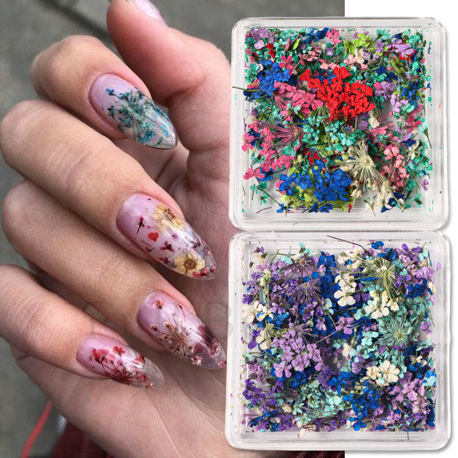 Boxed Dried Flowers Nail Art Decoration