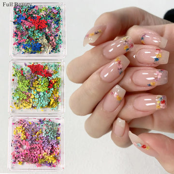 Boxed Dried Flowers Nail Art Decoration